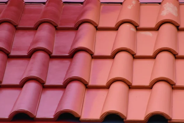 Malowanie Dachu Farb Substancjami Przeciw Porostom Mchom — Fotografia de Stock
