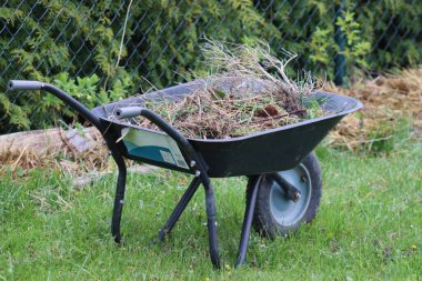 Çim ve çim dolu bir el arabası.