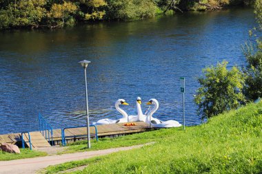 Kuğu şeklinde pedal tekneleri Polonya 'da Pomeranya Voyvoda' da bir gölde marinada duruyor.