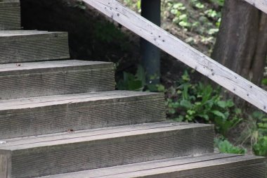 Teras ahşap platform. Parkta ahşap bir platform. Güverte tahta yolu