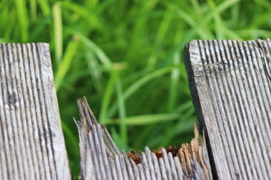 Kırık teras tahtası. Tahta çatlamış. Teras ahşap platformu. Parkta ahşap bir platform. Güverte tahta yolu