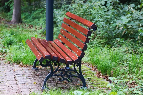 Bench in the park. Bench made of wood and metal.