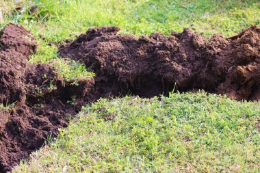 Bahçe işleri, bahçe kenarlarının kurulumu. Kürekle kazılmış basit bir siper.