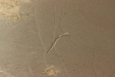 Çocuk parkında büyük bir pembe kaydırak..