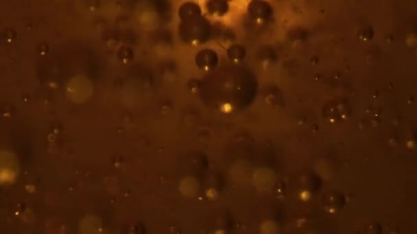 Hoppy Beer Frothing Glass Closeup Intoxicant Alcohol Beverage Sizzling Clear — Stock Video