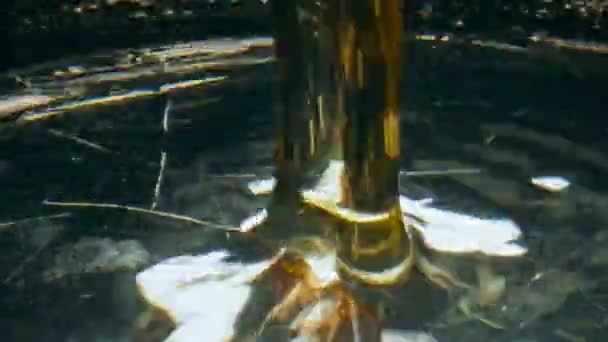 Golden Beverage Splashing Goblet Closeup Pouring Alcoholic Sparkling Liquid Clean — Stock Video