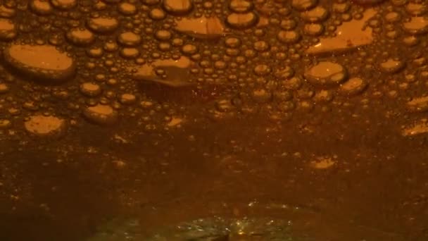 Artesanato Lager Vidro Espumante Closeup Bebida Álcool Jato Derramando Vaso — Vídeo de Stock
