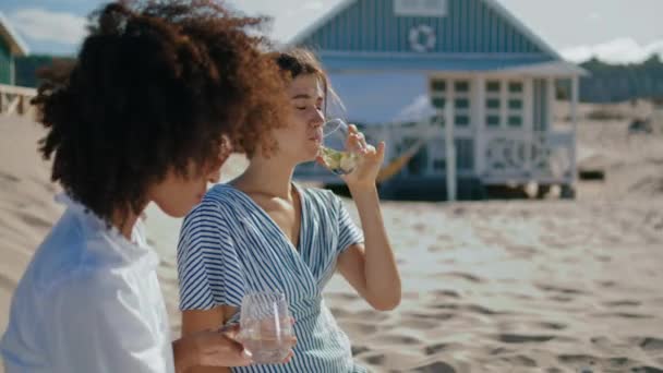 Boldog Barátnők Piknik Koktélokat Iszogatnak Tengerparti Házakban Mosolygó Lgbt Pár — Stock videók