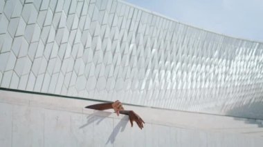 Sanatçı eller tek başına dans eden caddeye yakın çekim yapar. Bilinmeyen dansçı dışarıda modern dışavurumcu dansı yapıyor. Şehirli duyguları olan anonim kahverengi tenli adam. Çağdaş kültür kavramı