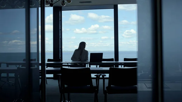 Silhouette businesswoman thinking ocean panorama window luxury office. Stressed ceo leader consider future decision problem alone. Unknown employee using laptop at dark hall. Business concept