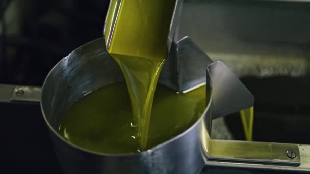 Процесс Производства Оливкового Масла Пищевой Фабрике Закрывается Золотая Сверхчистая Жидкая — стоковое видео