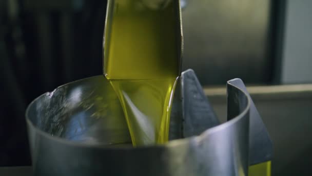 在工厂关闭时工作的橄榄油机 在冷压设备收获季节后 黄金额外的处女液加工 在室内操作后 罐装罐体中倒入有味道的产品 — 图库视频影像