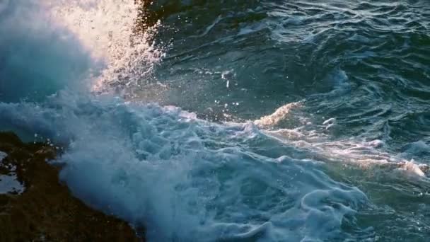 Foamy Wave Breaking Coast Closeup Sea Splashing Volcanic Stones Ocean — Stockvideo
