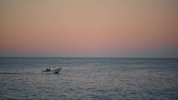 Powerboat Sailing Dawn Ocean High Speed Boat Travelling Sea Sunrise — Video Stock