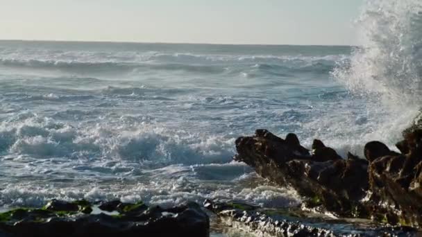 Stürmische Wellen Krachen Sonnigen Tagen Auf Felsen Gefährliches Ozeanplätschern Das — Stockvideo