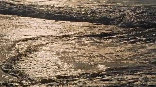 Złote Fale Myją Wybrzeże Rano Płytka Woda Oceaniczna Odbija Światło — Wideo stockowe