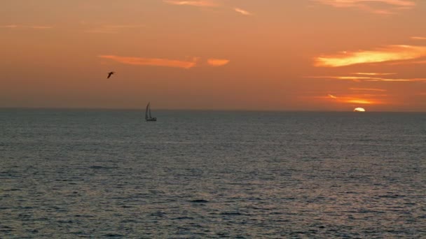 Beautiful Golden Sea Sunrise Summer Lonely Boat Sailing Calm Ocean — Video Stock