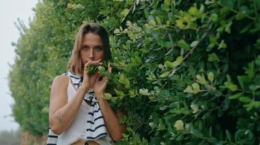 Yaz gezisinde yeşil yapraklı sokağa çıkan bir kız. Romantik turist, çalılıklara dokunup bahçenin tadını çıkarıyor. Kaygısız flört eden kadın Avrupa seyahatinde şehri keşfediyor. Kır evinde dinlenen rahat bir öğrenci.