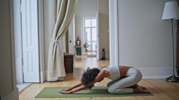 柔韧的女猫在室内练习姿势 在舒适的家 黑人皮肤女运动员弯腰在垫子上锻炼 正在做瑜伽的胖女人伸懒腰躺在家里 运动促进健康生活概念 — 图库视频影像