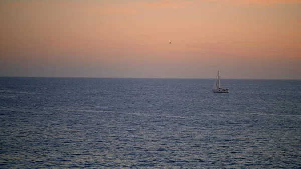 Romantic pink ocean sunset on summer vacation. White yacht sailing calm water in morning. Peaceful quiet sea surface waving rippling on beautiful sunrise. Idyllic seaside relaxation on dawn concept.