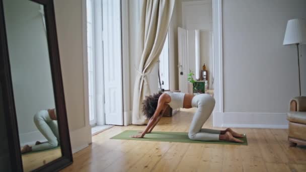 活泼的女人在室内垫子上伸展身体 专注的女士在橡胶地毯上做瑜伽运动 做木板的卷曲非洲女孩一个人摆姿势训练 灵活的模型热身肌肉 — 图库视频影像