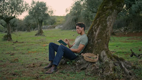 リラックスした男がオリーブの木の夜の場所でページをめくる 田舎の風景で本を読んで穏やかな庭の労働者 夏の自然の中で休憩を楽しむ小説を保持する平和な農家 職業概念の収穫 — ストック写真