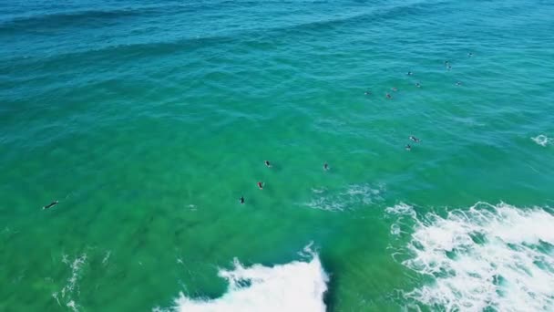 美しいターコイズブルーの海で待っている波の夏の週末に泳いでいるグループサーファー ドローンビューの静かな海の水の熱帯のビーチにスローモーション圧延表示します 未知のスケートボーダーは海岸で積極的な趣味を楽しむ — ストック動画