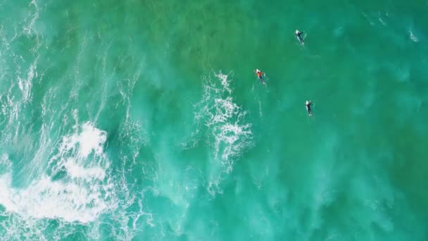 Drone Colpo Gruppo Surfisti Sconosciuti Nuotare Acqua Turchese Oceano Attesa — Video Stock