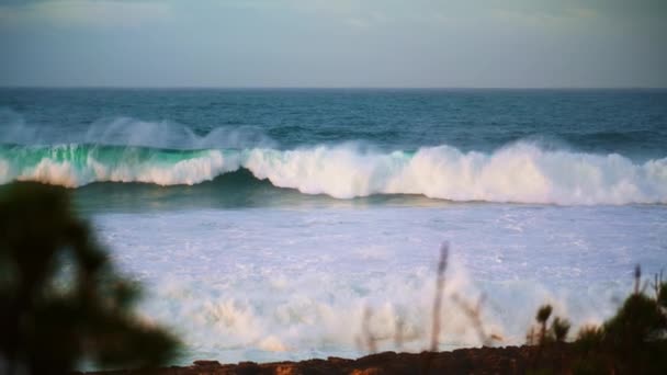 Потужні Білі Хвилі Рухаються Тропічної Берегової Лінії Пікантний Океан Набухає — стокове відео