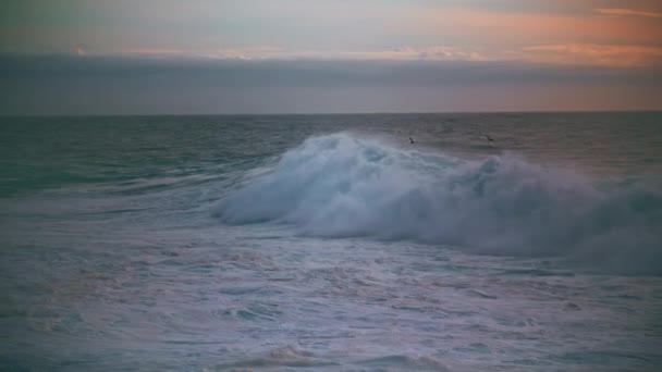 Величезна Морська Хвиля Піниться Ранковому Горизонті Потужний Серфінг Руйнує Мілину — стокове відео