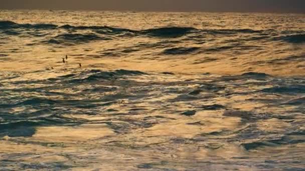 Птицы Летают Поверхности Океана Рано Утром Глубокое Мощное Море Размахивающее — стоковое видео