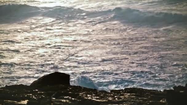Flache Wellen Die Morgendlicher Nahaufnahme Felsen Bespritzen Schimmerndes Wasser Das — Stockvideo