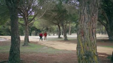 Güzel ormanda yürüyen romantik bir çift. Sakin bir sonbahar günü. Aktif genç çift hafta sonu şehir parkına gidiyor. Tatlı pozitif gezginler orman doğasında birbirlerine sarılıyorlar. Trip konsepti.