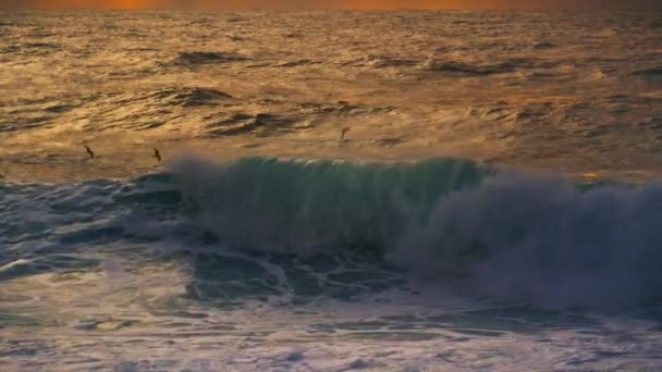 大きな波嵐の海の景色 鳥のカモメは見事な朝の海を飛んでいます 超スローモーションで強力なサーフィンローリングバレル 劇的な白い泡の水が夕方にクラッシュ表面を振って — ストック動画