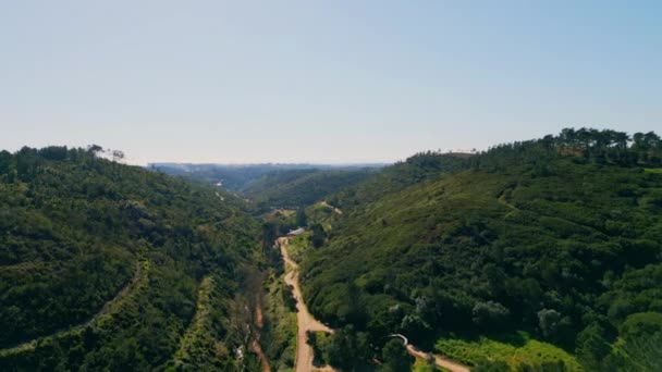 Зелений Ліс Покриває Гірські Схили Під Ясним Блакитним Небом Кінематографічний — стокове відео