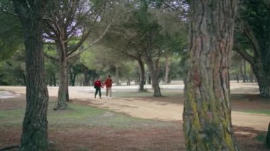 Güzel ormanda yürüyen romantik bir çift. Sakin bir sonbahar günü. Aktif genç çift hafta sonu şehir parkına gidiyor. Tatlı pozitif gezginler orman doğasında birbirlerine sarılıyorlar. Trip konsepti.