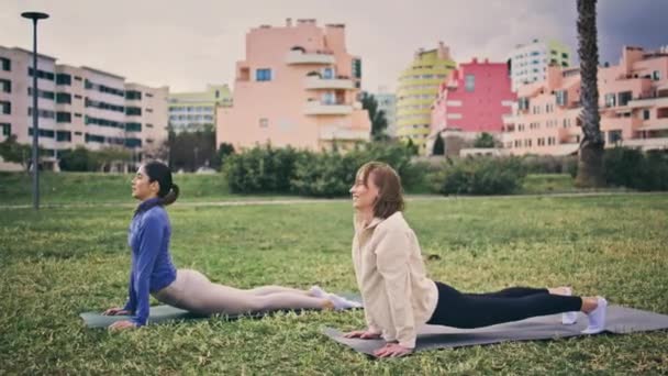 Entspannte Sportlerinnen Die Kobra Üben Posieren Stadtpark Glückliche Yogini Beugt — Stockvideo