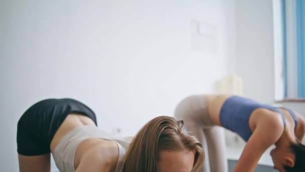 一对在家里练习瑜伽的体育夫妇 活跃的运动员在演播室一起享受体能锻炼 制作猫牛的宁静的女人在阿萨那摆出姿势 灵活的女孩弯曲身体训练 — 图库视频影像
