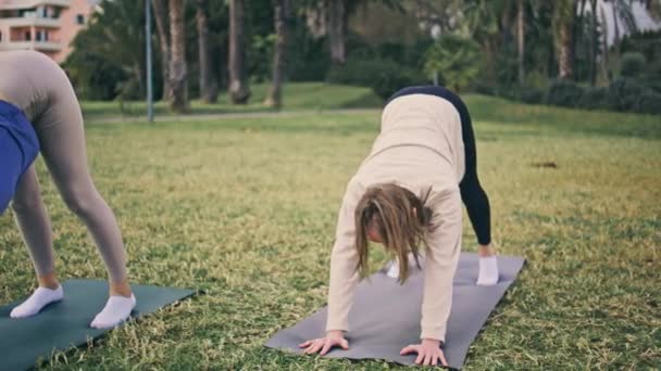 瑜珈女子在大自然中训练灵活性 健康的女孩和朋友一起在草坪上做早操 两名放松的运动员伸展身体朝上面对着狗在绿地公园摆姿势 — 图库视频影像