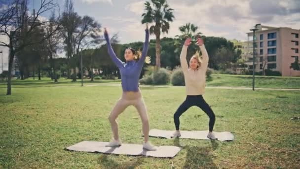 Fitness Frauen Star Sprungtraining Der Sommerlichen Natur Konzentriertes Paar Beim — Stockvideo