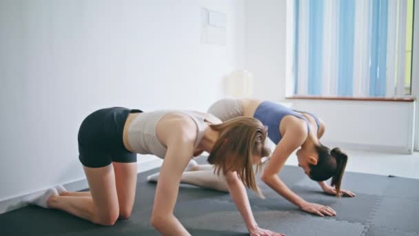 Yoga Koppelt Trainingsflexibiliteit Aan Thuisstudio Twee Vrouwelijke Atleten Die Naar — Stockvideo