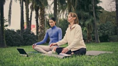 Yoga kızları nilüfer çiçeği otların üzerinde durur. Tablete dönüşen iki sporcu kadın temiz hava üzerine meditasyon yapmaya hazırlanıyor. Sakin, sağlıklı bayanlar sakin yeşil parkta dikkatli bir eğitim alıyorlar. Uzaktan eğitim kavramı