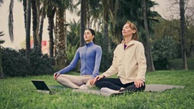 Green Park 'ta meditasyon yapan kadınlar yoga egzersizleri yapıyor. Serene spor partnerleri, bulutlu bir günde, Lotus 'ta oturarak antrenman yapıyor. Glade 'de Asana dinleme tableti antrenörü olan sakin kızlar.