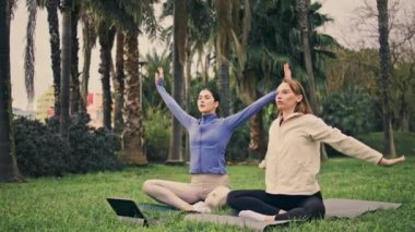 Palms Place 'de Lotus pozisyonunda oturan sakin bayanlar. Rahatlamış spor kadınları Asana 'yı bilgisayardan yoga dersi izlemeye zorluyor. Genç düşünceli kızlar parkta antrenman yapıyor. Uzak çalışma kavramı