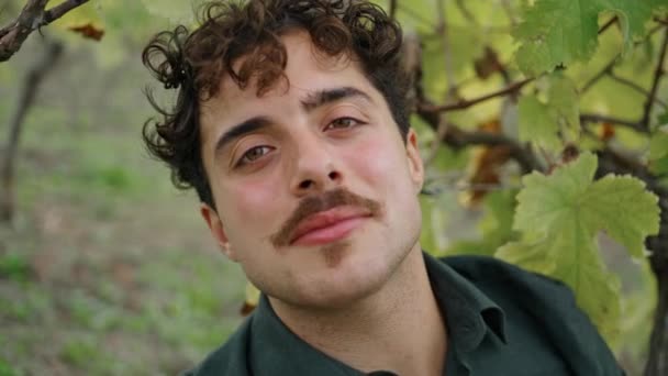 Atractiv Mustață Tânăr Care Prezintă Plantație Struguri Așezat Sub Tufișul — Videoclip de stoc