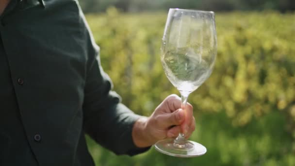 默默无闻的男人在水晶酒杯中摇曳着白葡萄酒 站在美丽的葡萄园旁 在阳光充足的葡萄种植园 一个难以辨认的人拿着带着新鲜酒精的酒杯喝着葡萄酒 — 图库视频影像