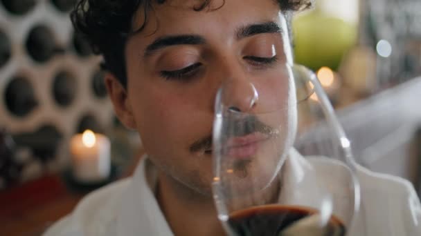 从优雅的透明玻璃杯中 近距离观察迷人的意大利酒商闻到红酒的香味 独自坐在豪华餐厅里品尝葡萄酒味的深褐色葡萄酒厂专家画像 — 图库视频影像