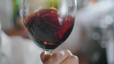 Şeffaf kadehte kırmızı şarabı sallayan bir adam kaliteli şaraphaneyi kontrol ediyor. Meçhul profesyonel şarap garsonu elinde üzüm alkollü bardakla restoranda test rengi tutuyor..