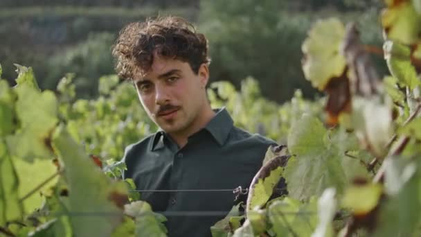 一人でカメラを見てブドウ畑に立って笑顔の若いブドウ農園労働者の肖像画 黄色の葉の近くにポーズをとっている魅力的なイタリアのワイン醸造者は ブドウの茂みを閉じます 幸せな農業労働 — ストック動画