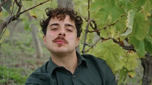 Портрет Молодого Человека Винодела Сидящего Одиночестве Виноградным Кустом Поедающего Виноград — стоковое видео